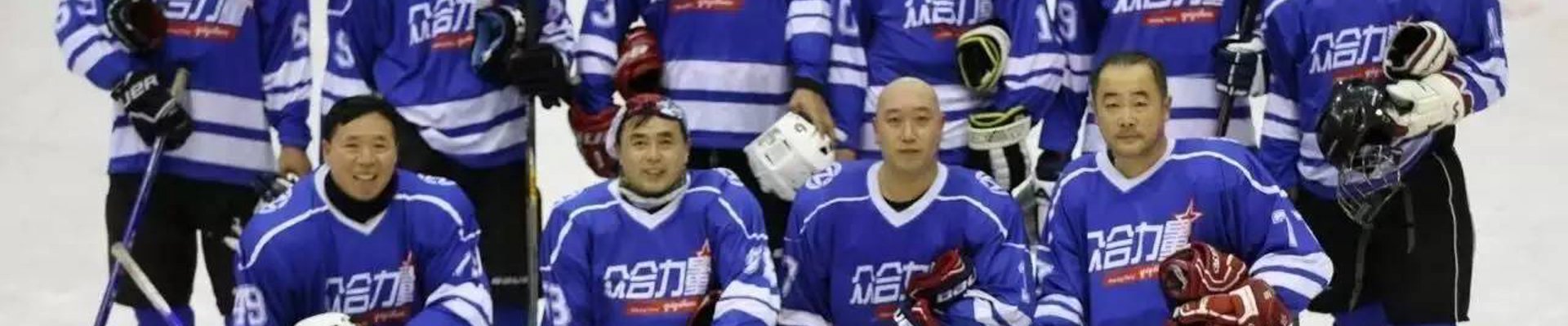 项目案例